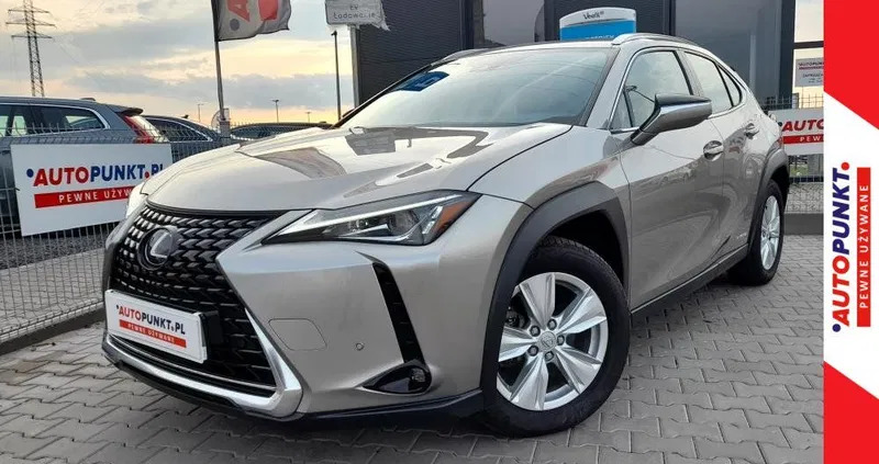 opolskie Lexus UX cena 114900 przebieg: 51534, rok produkcji 2020 z Sępólno Krajeńskie